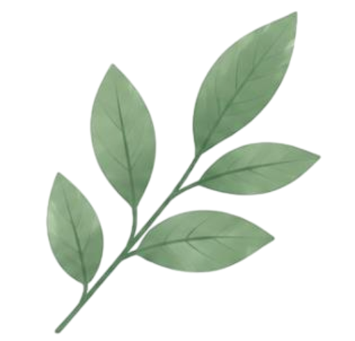 Green leaf sprig